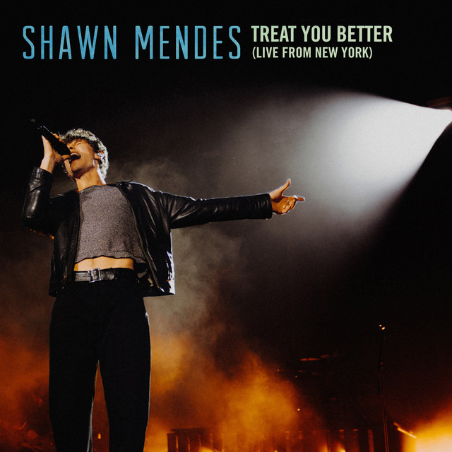 Treat You Better (Live From New York) — Shawn Mendes