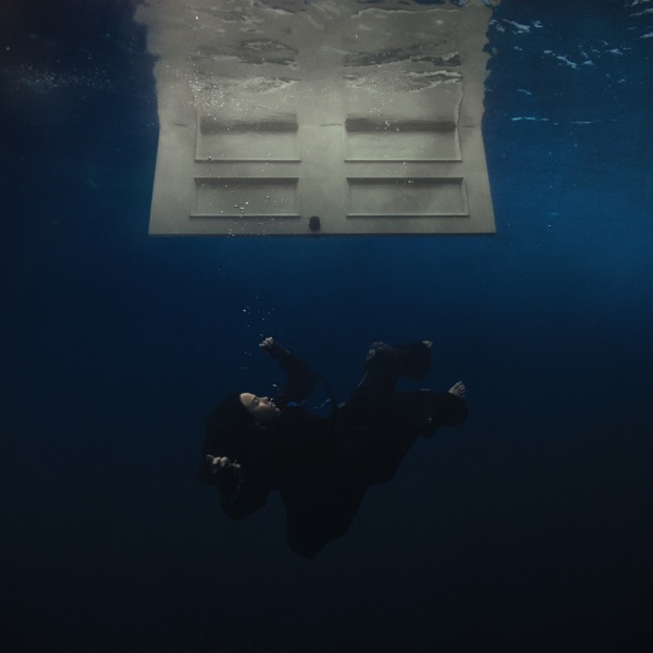 Wildflower — Billie Eilish