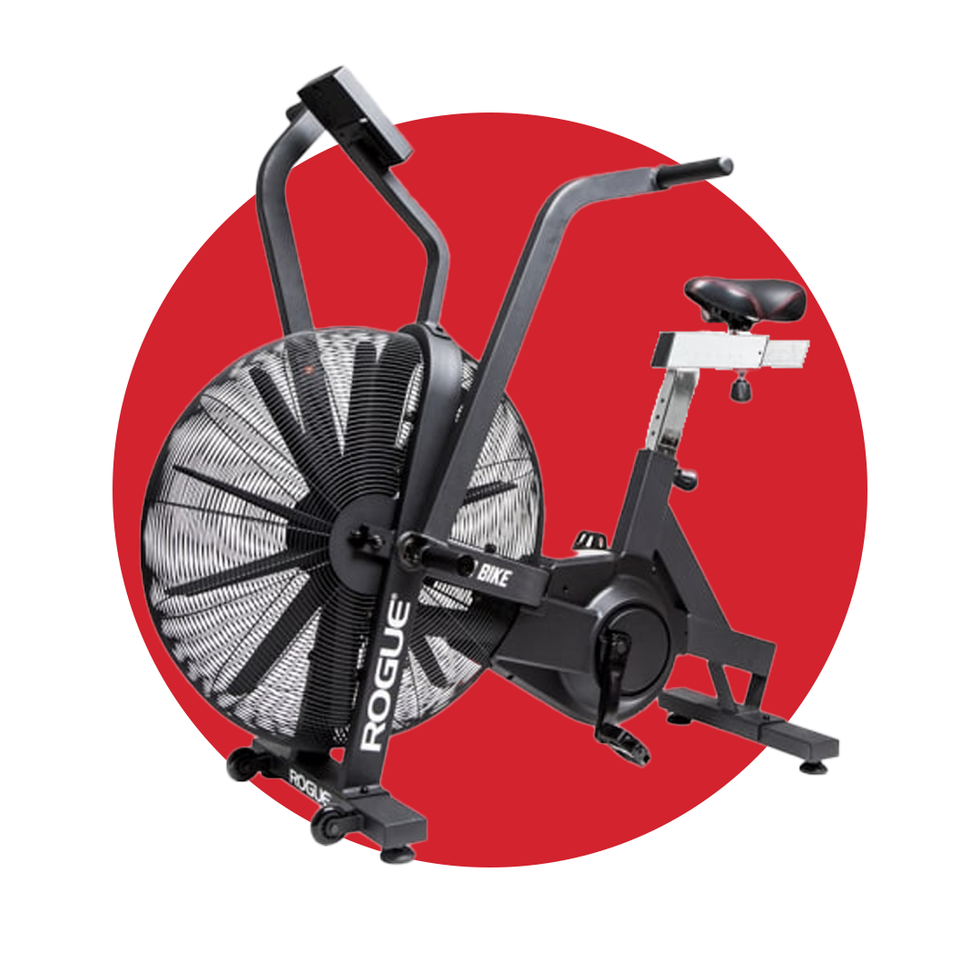 Rogue Echo Bike V3.0